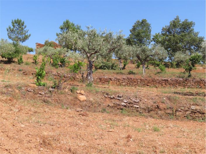 Image No.36-Propriété à vendre à Castelo Branco