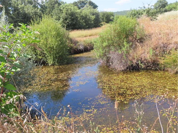 Image No.38-Propriété à vendre à Castelo Branco