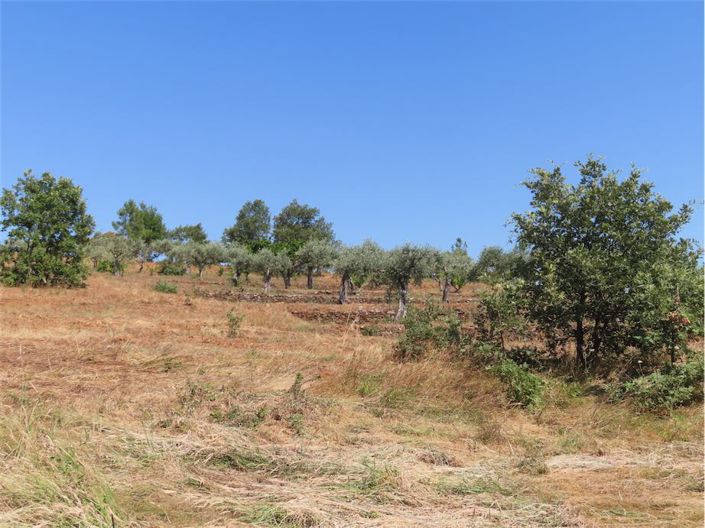 Image No.39-Propriété à vendre à Castelo Branco