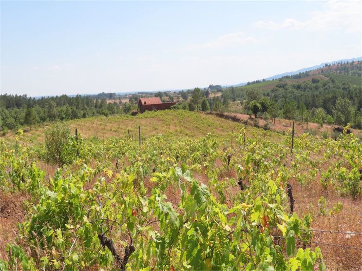 Image No.4-Propriété à vendre à Castelo Branco