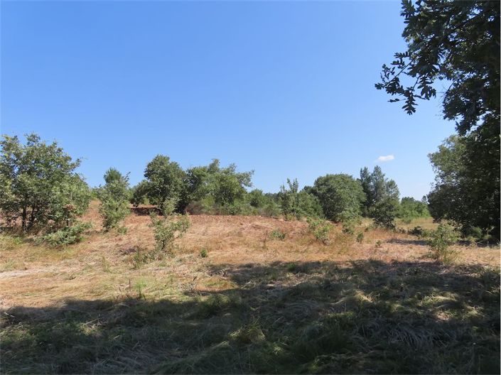 Image No.40-Propriété à vendre à Castelo Branco