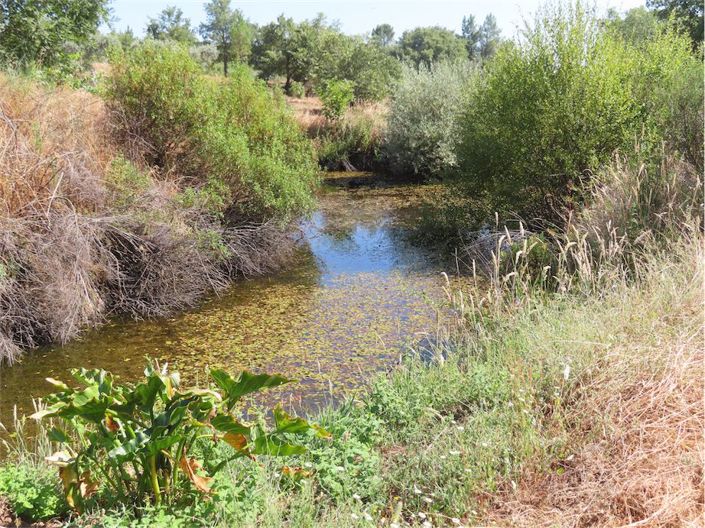 Image No.44-Propriété à vendre à Castelo Branco