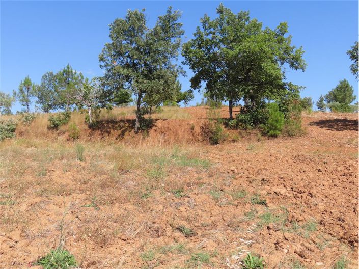 Image No.45-Propriété à vendre à Castelo Branco