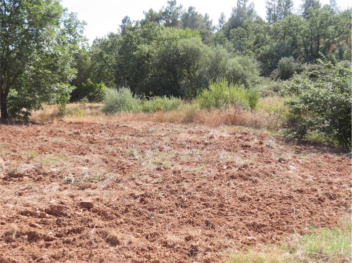 Image No.46-Propriété à vendre à Castelo Branco