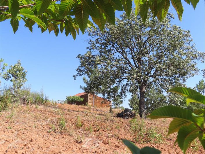 Image No.47-Propriété à vendre à Castelo Branco