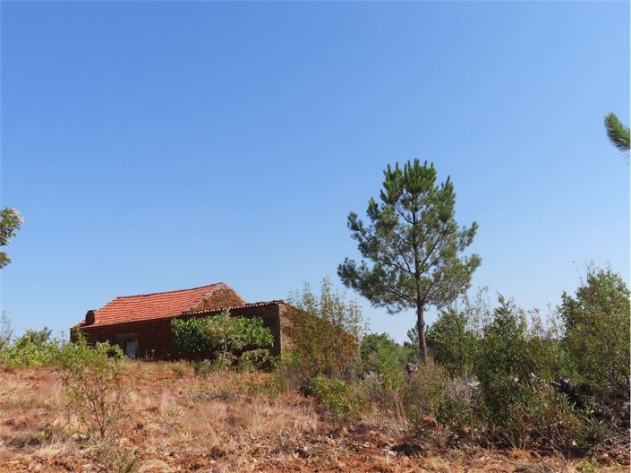 Image No.48-Propriété à vendre à Castelo Branco