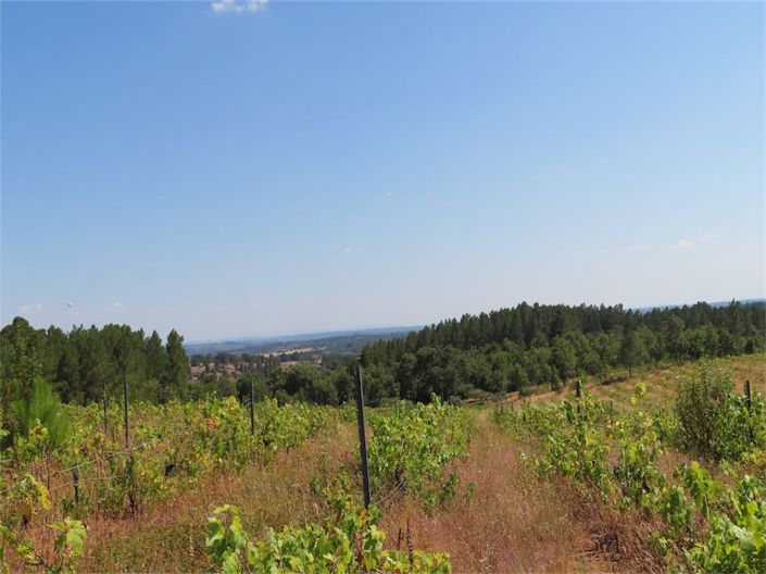 Image No.5-Propriété à vendre à Castelo Branco