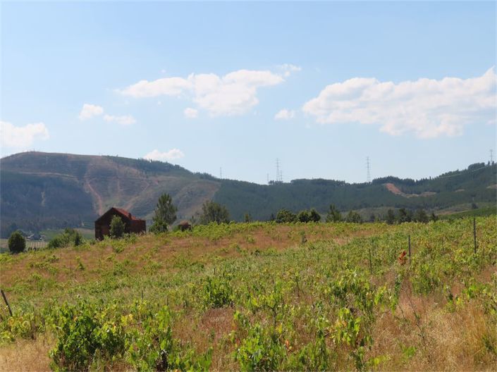 Image No.7-Propriété à vendre à Castelo Branco