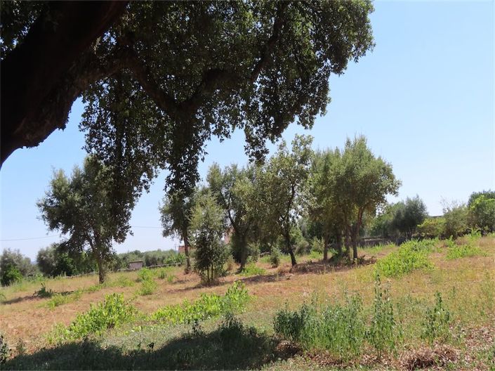 Image No.10-Propriété à vendre à Castelo Branco