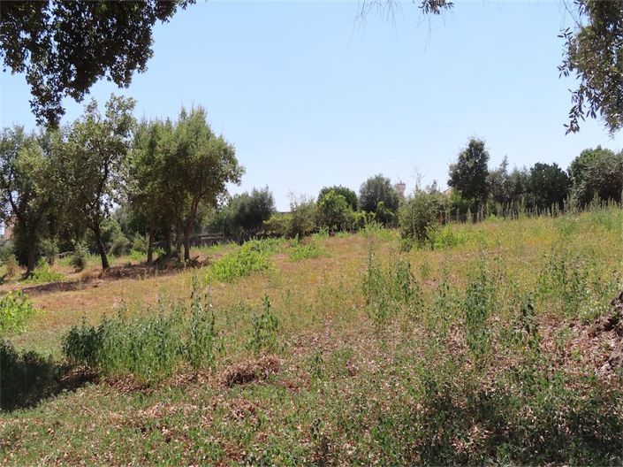 Image No.11-Propriété à vendre à Castelo Branco