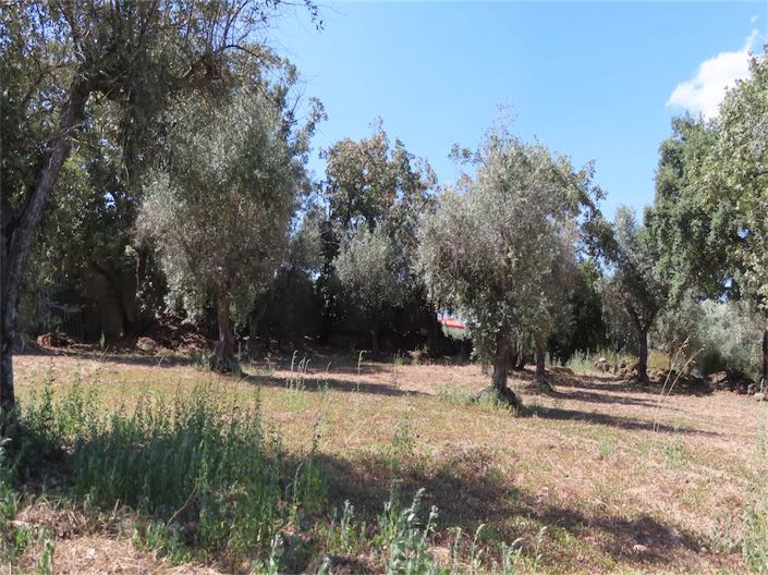 Image No.12-Propriété à vendre à Castelo Branco