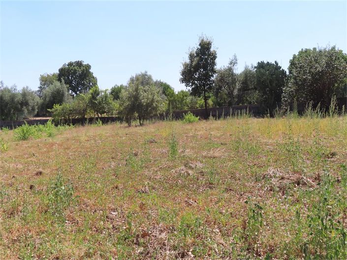 Image No.13-Propriété à vendre à Castelo Branco