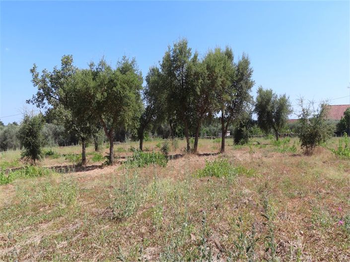 Image No.14-Propriété à vendre à Castelo Branco