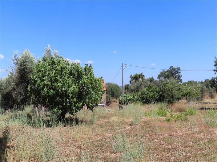 Image No.20-Propriété à vendre à Castelo Branco