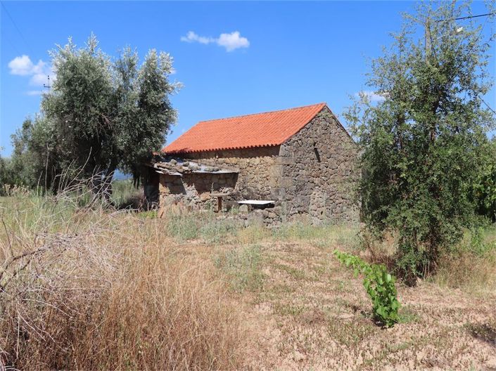 Image No.22-Propriété à vendre à Castelo Branco