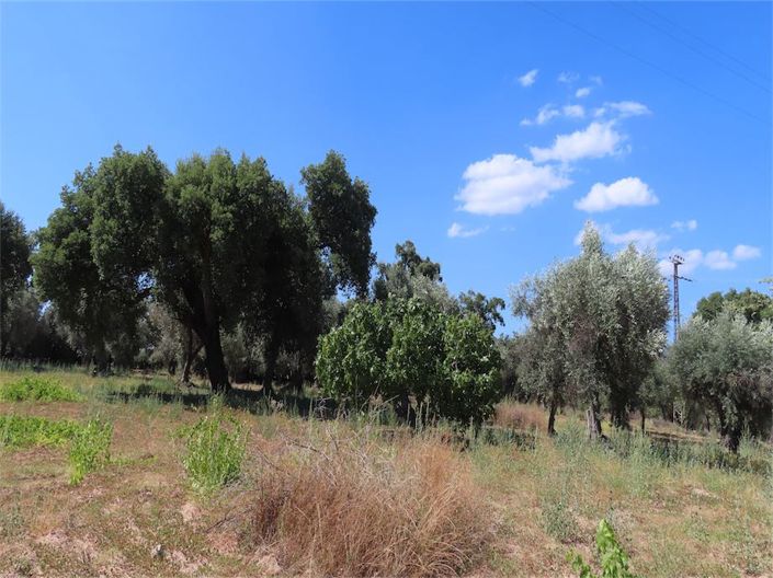 Image No.24-Propriété à vendre à Castelo Branco