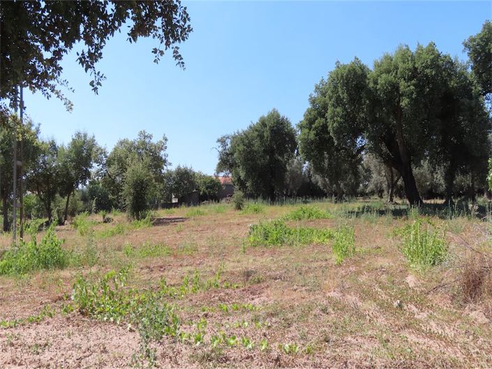 Image No.25-Propriété à vendre à Castelo Branco