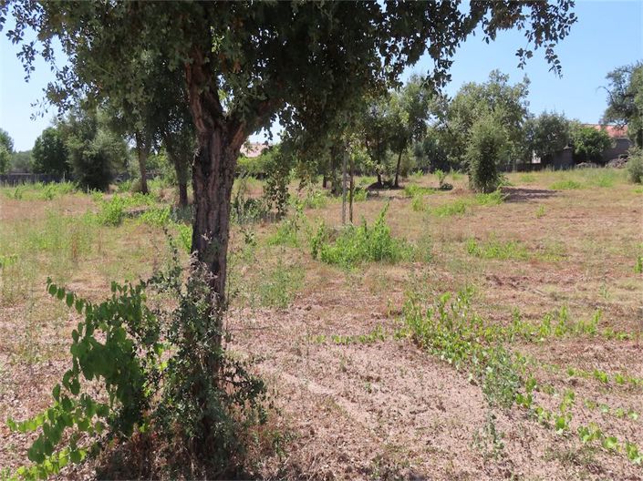 Image No.27-Propriété à vendre à Castelo Branco