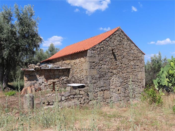 Image No.28-Propriété à vendre à Castelo Branco