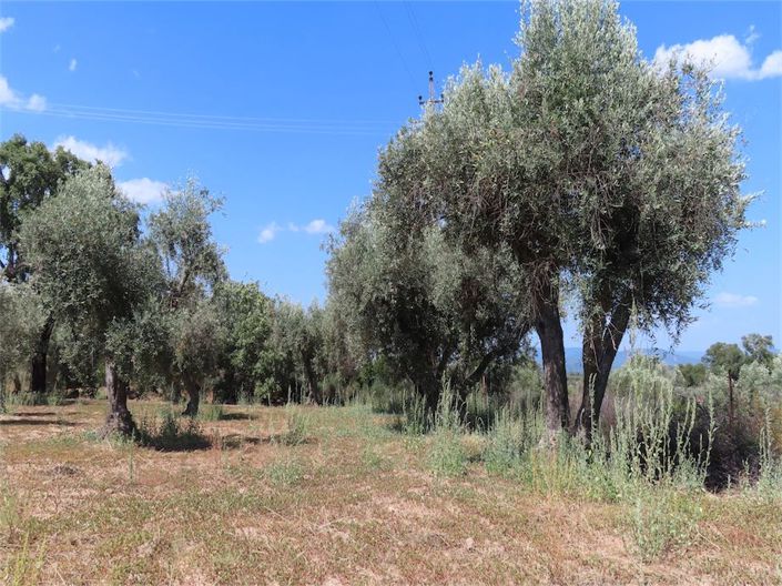 Image No.4-Propriété à vendre à Castelo Branco