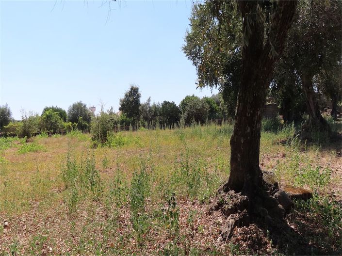 Image No.9-Propriété à vendre à Castelo Branco