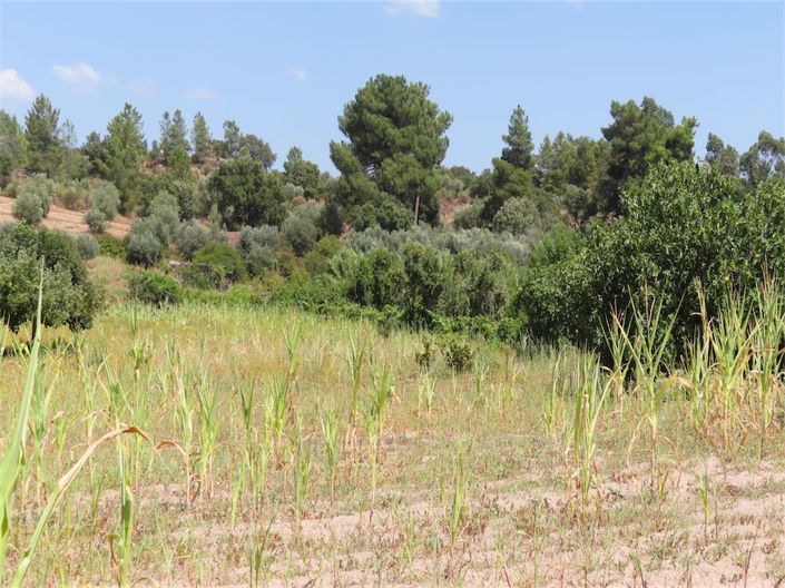 Image No.11-Property for sale