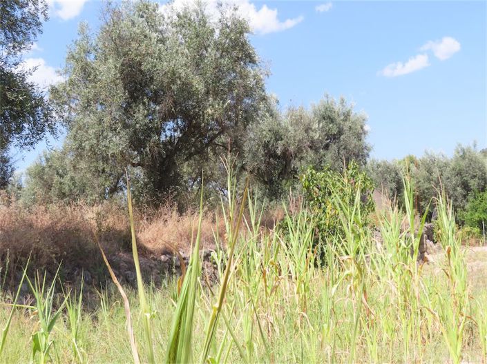 Image No.13-Property for sale