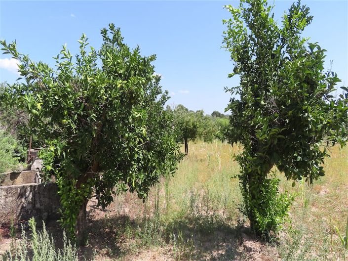 Image No.15-Property for sale