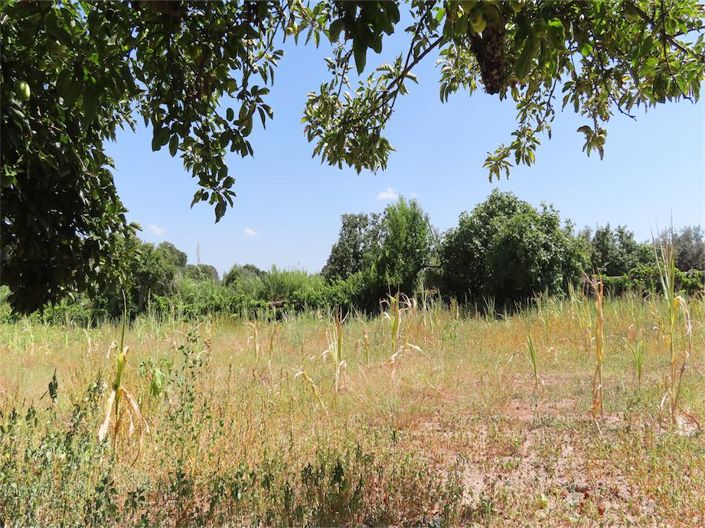 Image No.26-Property for sale