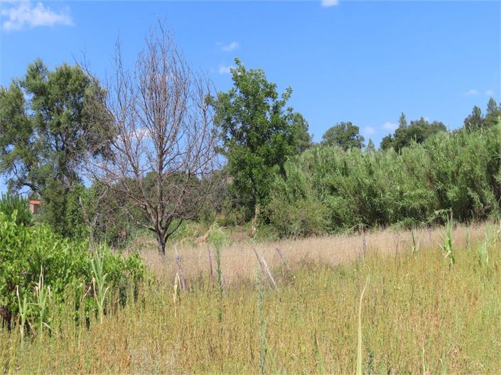 Image No.29-Property for sale