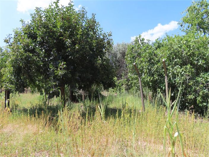 Image No.30-Property for sale