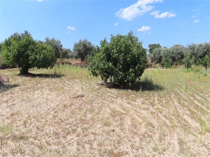 Image No.34-Property for sale