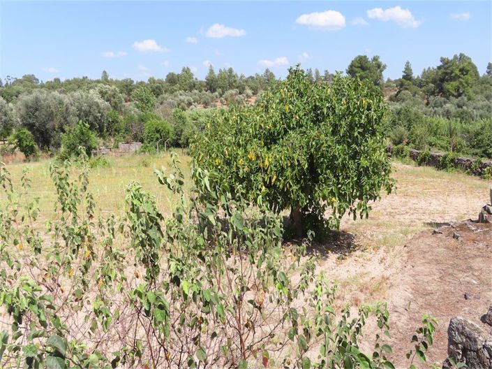 Image No.7-Property for sale