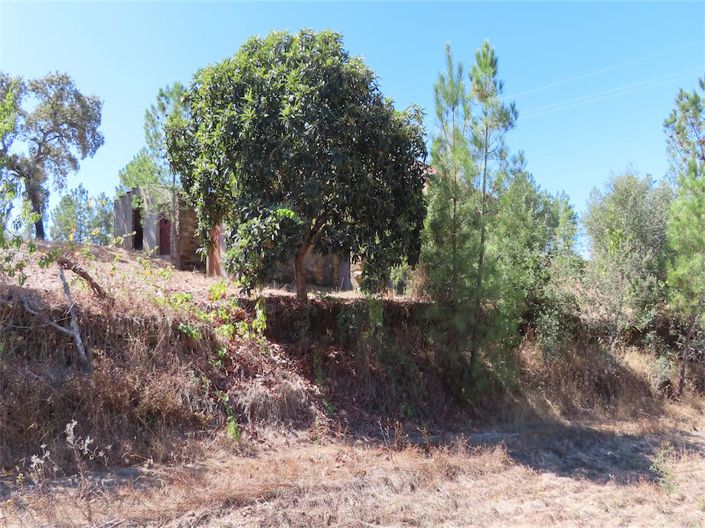 Image No.13-Propriété de 3 chambres à vendre à Castelo Branco