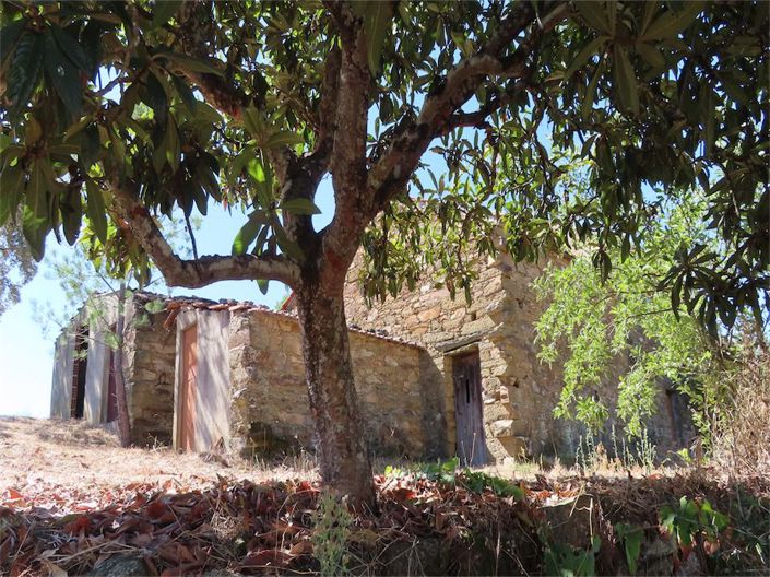 Image No.14-Propriété de 3 chambres à vendre à Castelo Branco