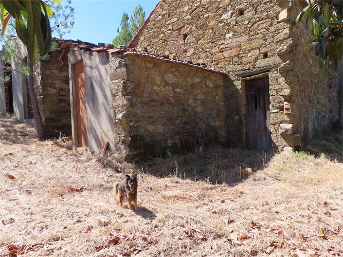 Image No.17-Propriété de 3 chambres à vendre à Castelo Branco