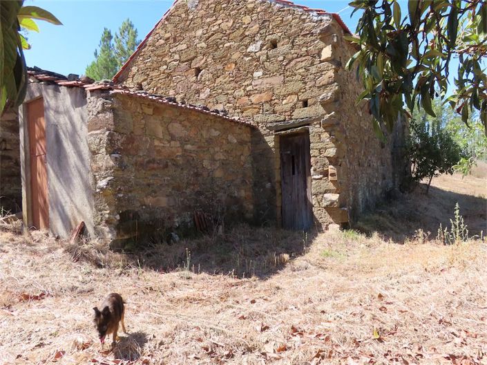 Image No.18-Propriété de 3 chambres à vendre à Castelo Branco