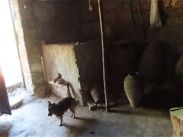 Image No.41-Propriété de 3 chambres à vendre à Castelo Branco