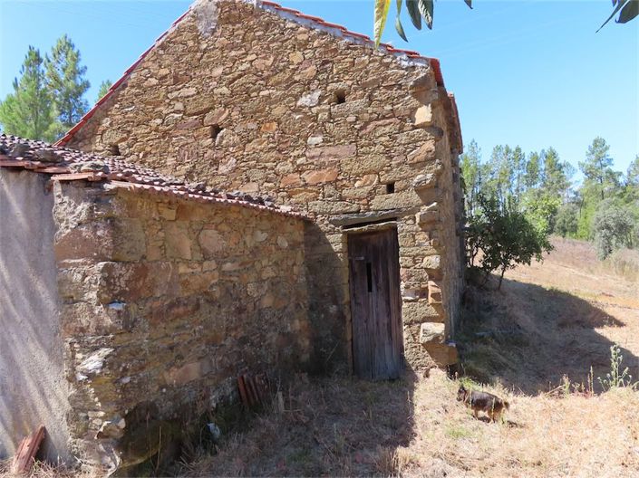 Image No.43-Propriété de 3 chambres à vendre à Castelo Branco