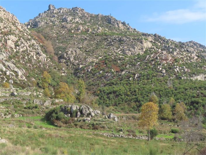 Image No.13-Propriété à vendre à Castelo Branco