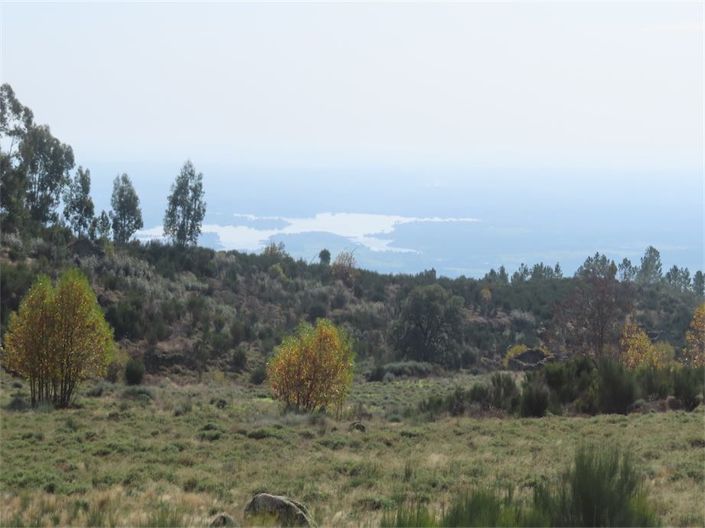 Image No.14-Propriété à vendre à Castelo Branco