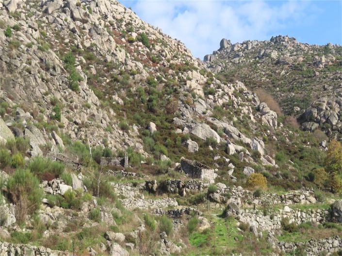 Image No.15-Propriété à vendre à Castelo Branco