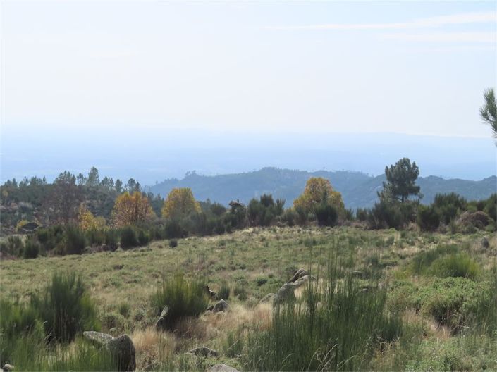 Image No.16-Propriété à vendre à Castelo Branco