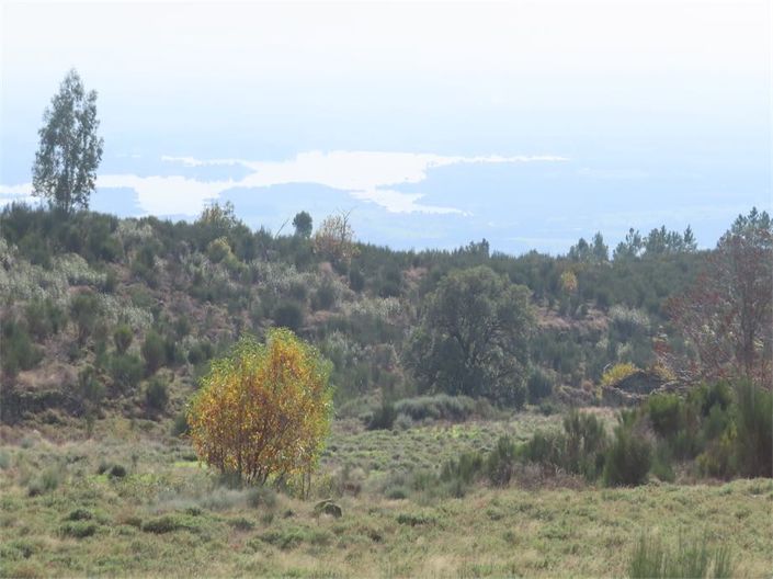 Image No.17-Propriété à vendre à Castelo Branco