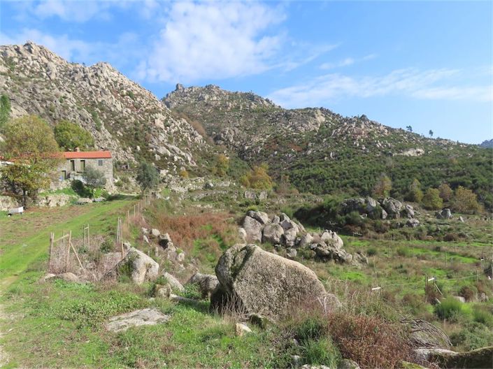 Image No.18-Propriété à vendre à Castelo Branco