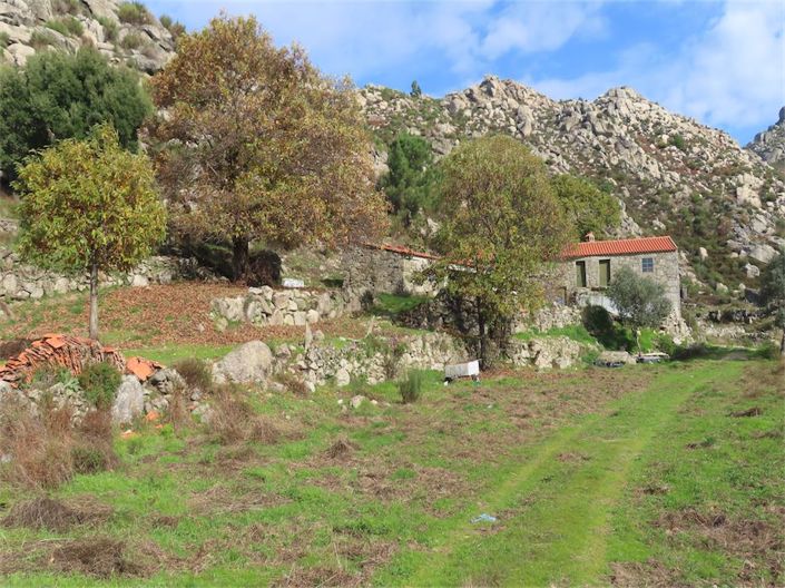 Image No.19-Propriété à vendre à Castelo Branco