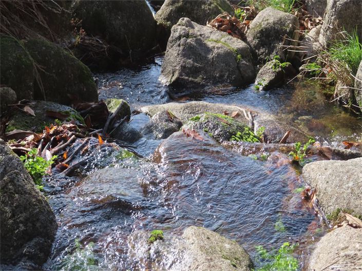 Image No.2-Propriété à vendre à Castelo Branco