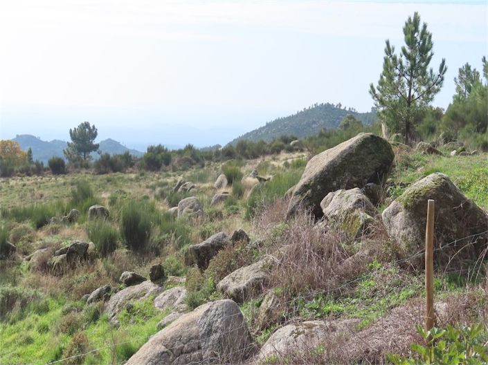 Image No.20-Propriété à vendre à Castelo Branco