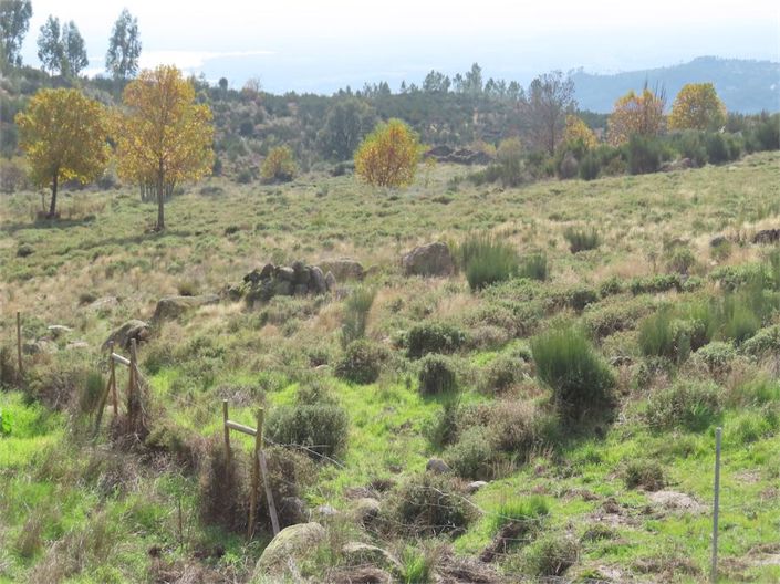 Image No.21-Propriété à vendre à Castelo Branco