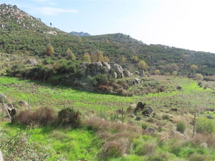 Image No.24-Propriété à vendre à Castelo Branco